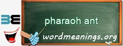 WordMeaning blackboard for pharaoh ant